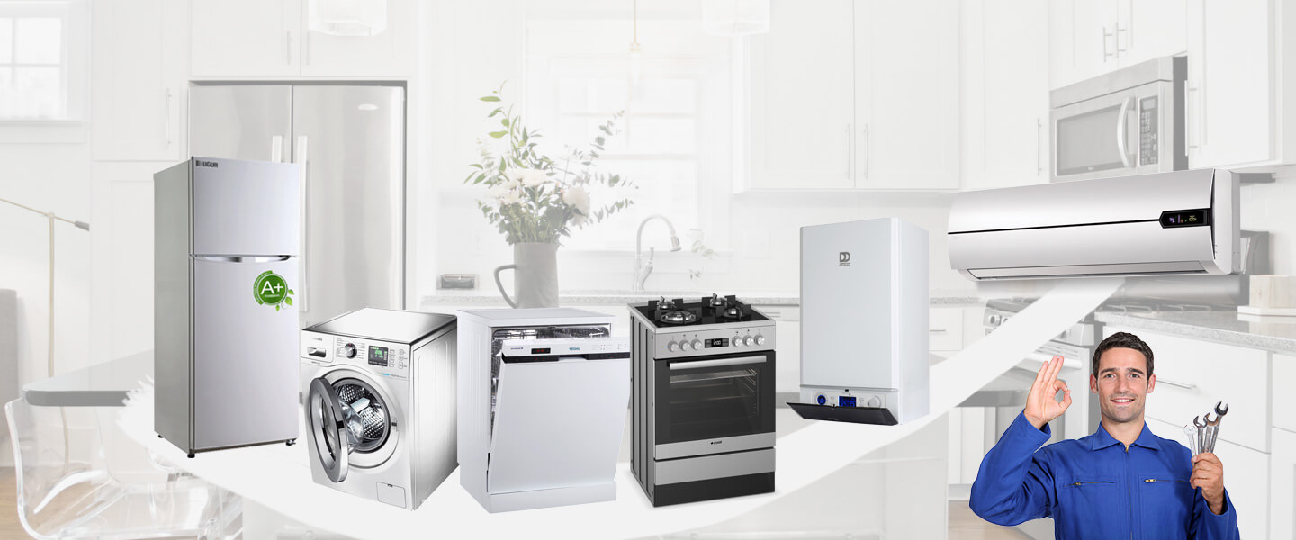 Kent 2 Dominox Servisi